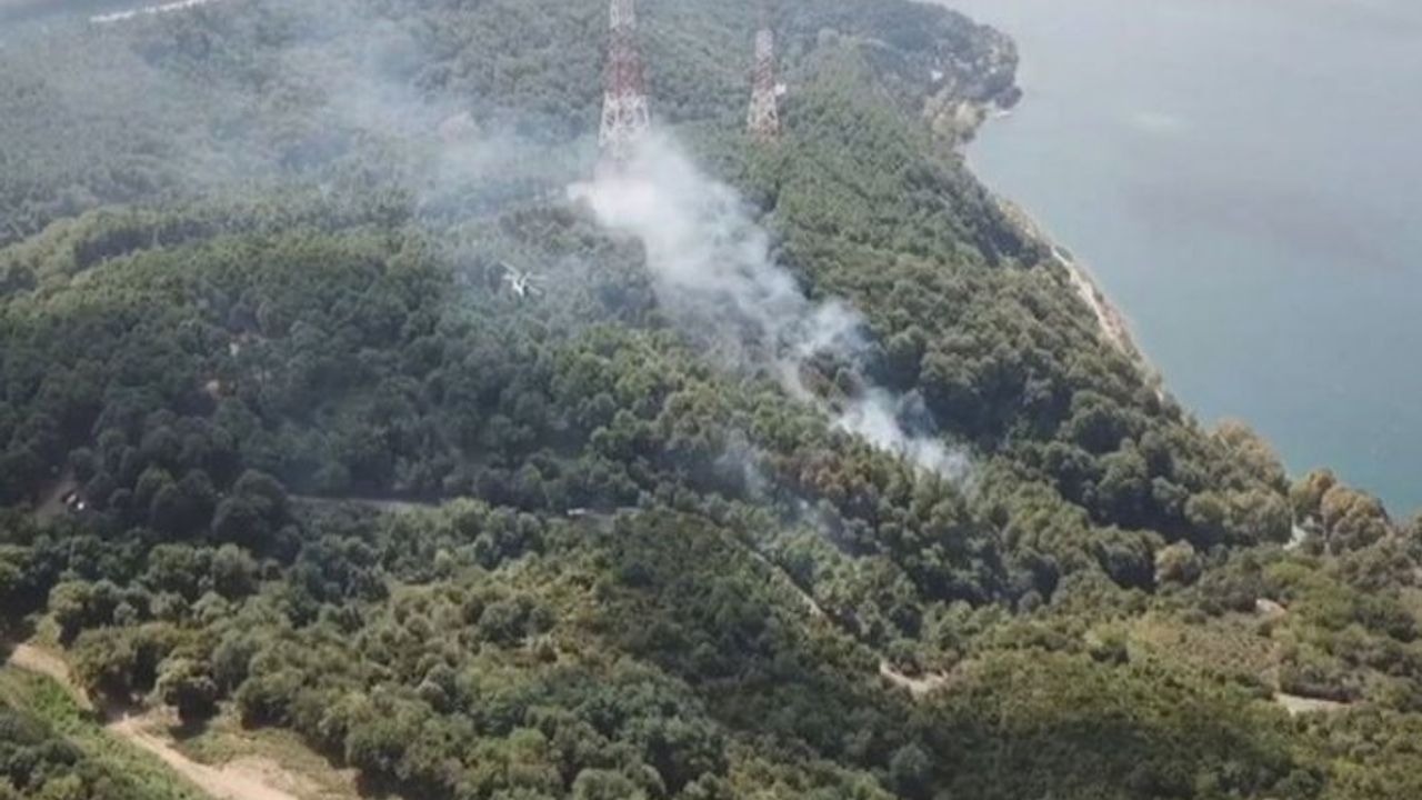 Anadolu Kavağı'nda korkutan yangın!