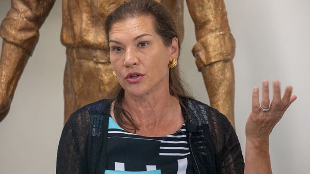 'Çin, Sincan'ı laboratuvar ve bedava işçilik olarak görüyor'