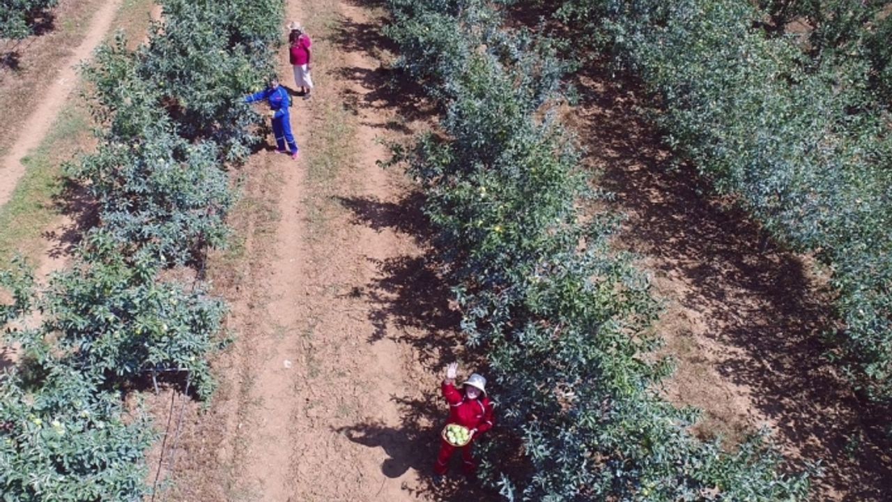 Taylandlı gelin mutluluğu bakın hangi şehirde buldu!