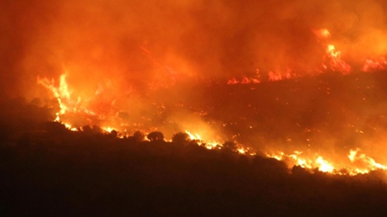Kahramanmaraş'ta iki yerde orman yangını