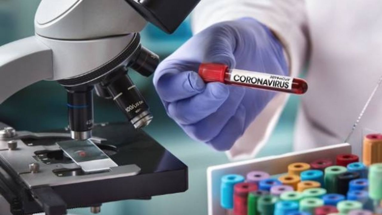 Koronavirüs 2 hastalığı ortadan kaldırmış olabilir
