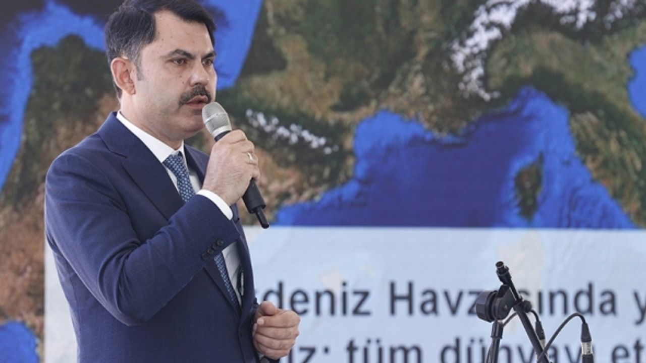 Mogan Gölü'nün temizliği için 71 milyon lira ödendi