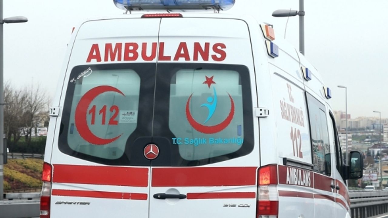 Bir çocuk daha sokak köpeklerinin kurbanı oldu