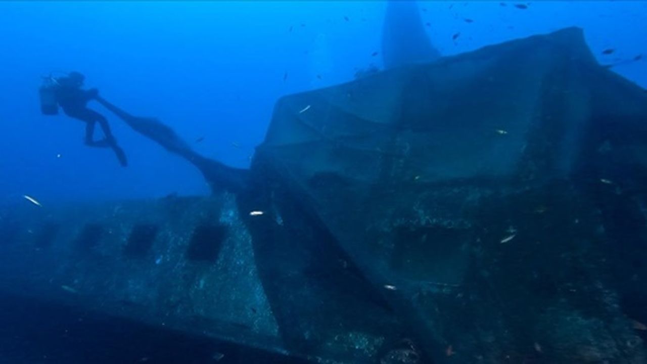 Dalış turizmi için batırılan vapur hayalet ağ ile kaplandı
