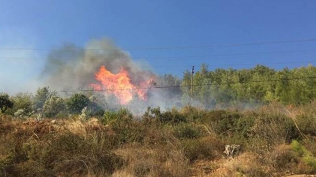 Mersin'de ormanlık alanda yangın çıktı