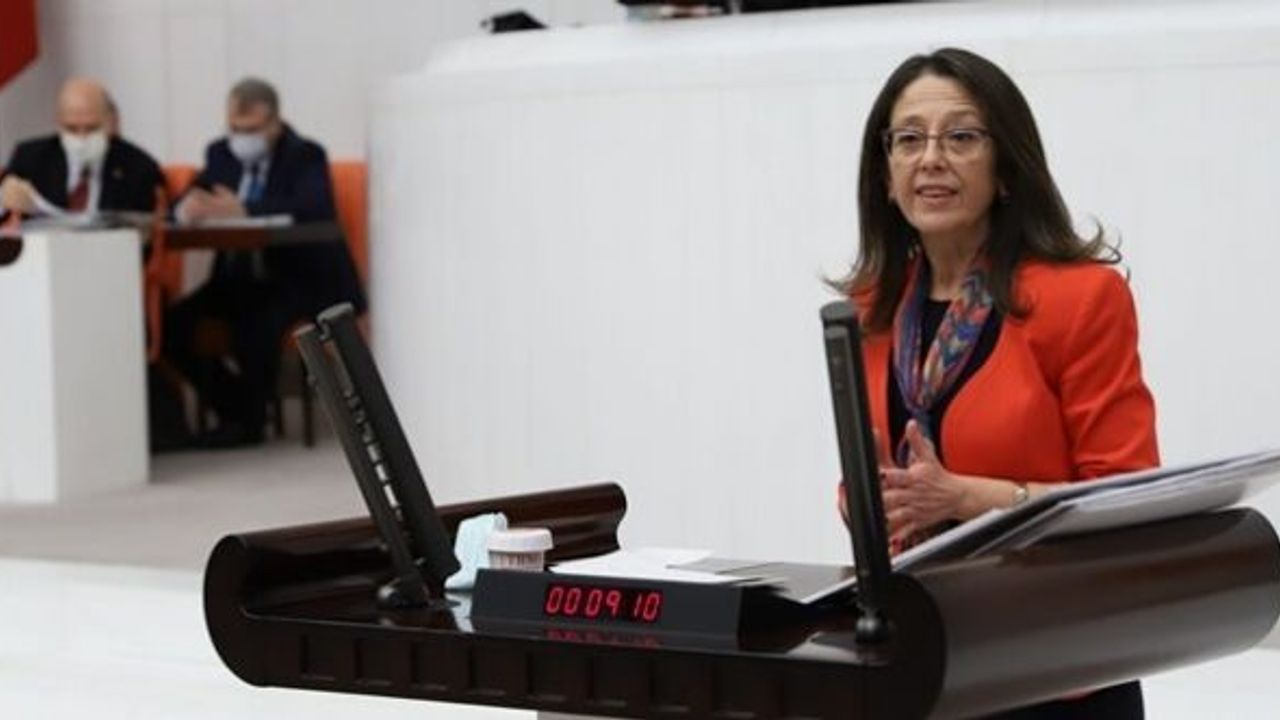 HDP'li Oya Ersoy'dan İslam'a ve Müslümanlara hakaret