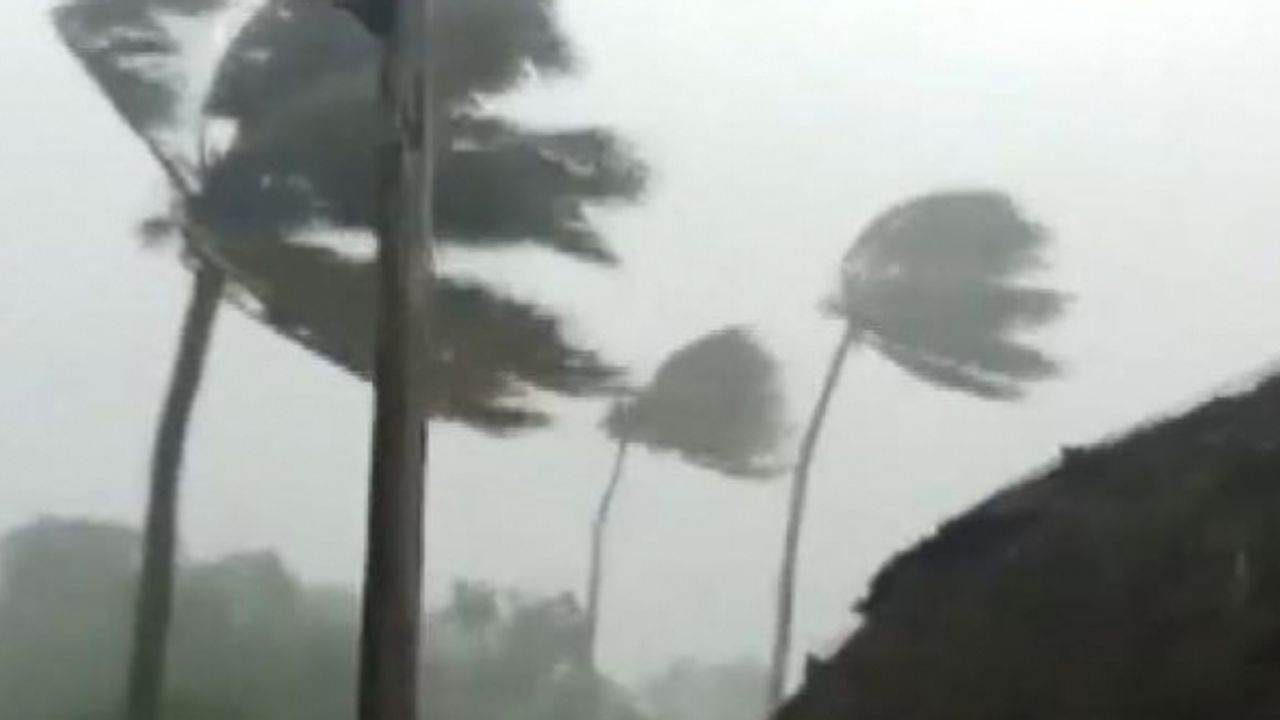 Roslyn Kasırgası Meksika'yı vurdu