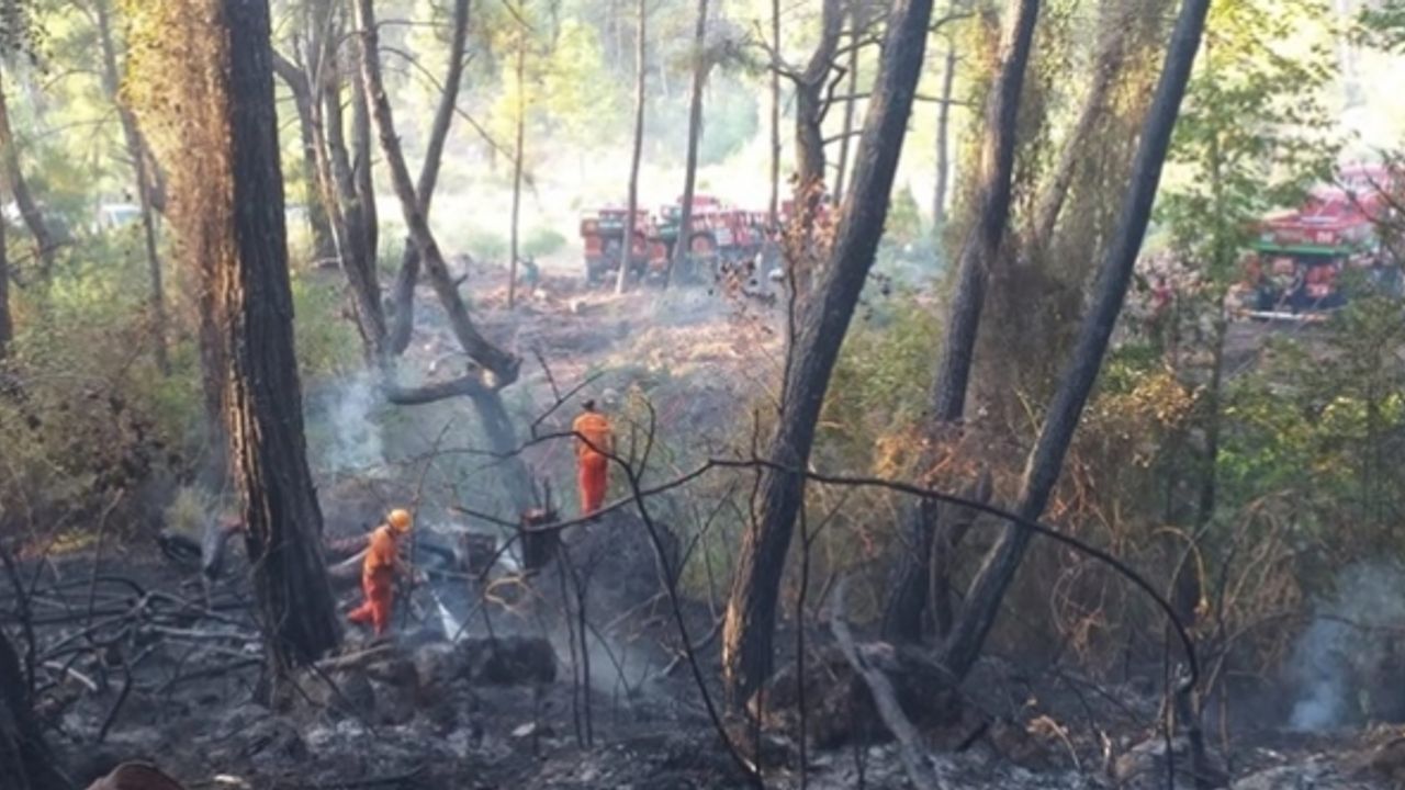 Antalya'da çıkan orman yangını söndürüldü