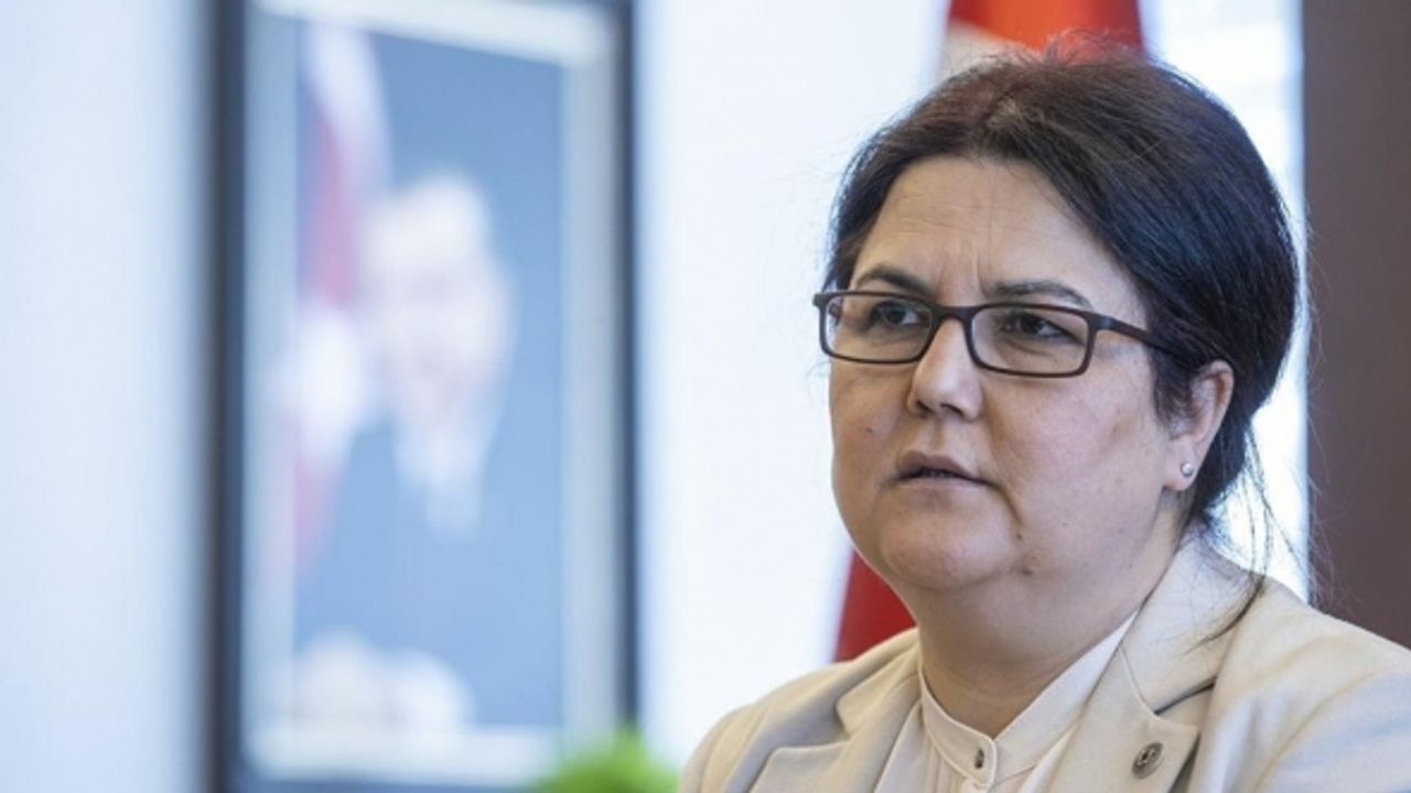 Bakanlık, kadınlar ve romanlar için destek merkezleri açacak