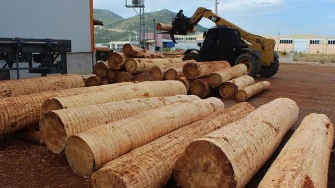 'Kereste şehirler' 2100 yılına kadar bir milyar ton emisyon tasarrufu sağlayabilir