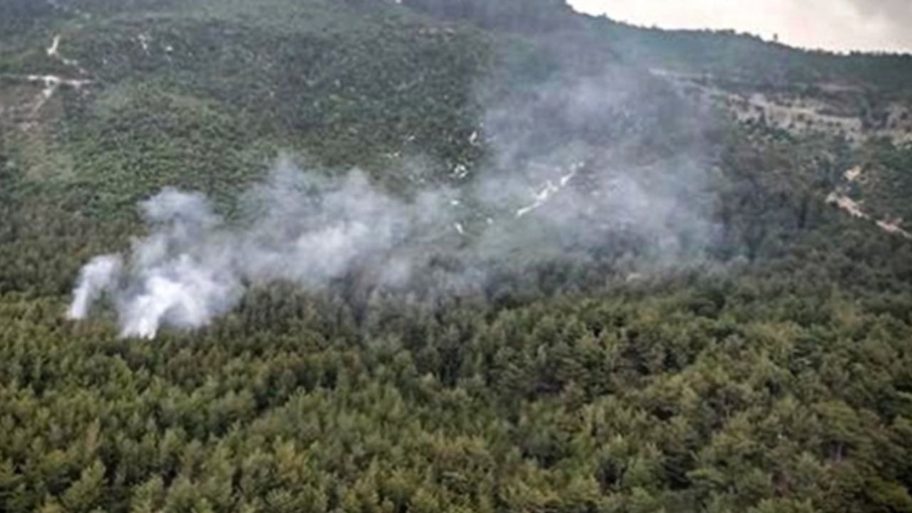 Osmaniye'de ormanlık ve örtülük alanda çıkan yangın kontrol altına alındı