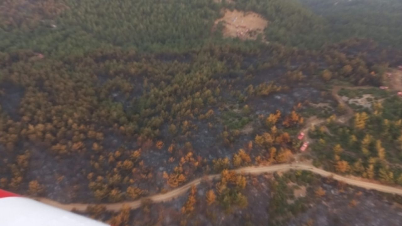 Soma'daki orman yangını kontrol altında