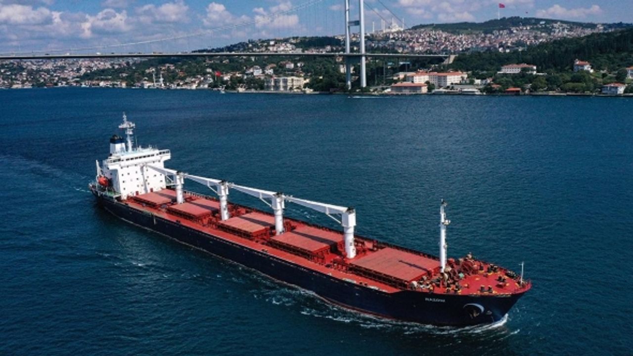Tahıl sevkiyatı sürüyor: 6 gemi daha yola çıktı