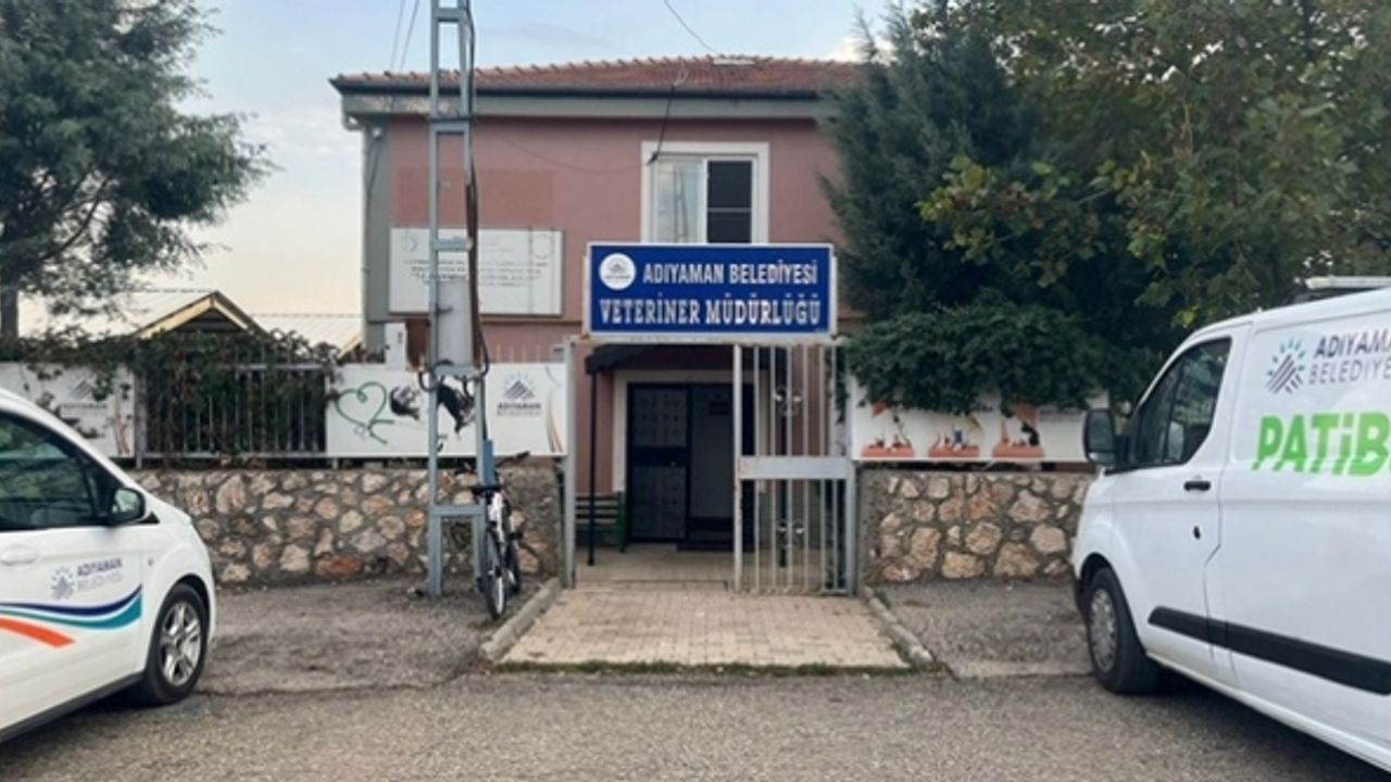 Adıyaman'da kuduz paniği: İki mahalle karantinaya alındı