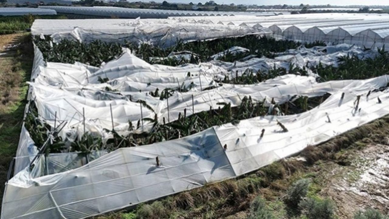 Antalya'da çıkan hortum muz seralarını "mahvetti"