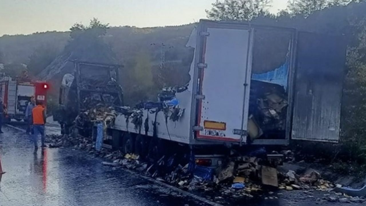 Bilecik'te tavuk eti yüklü tır yanarak kullanılmaz hale geldi