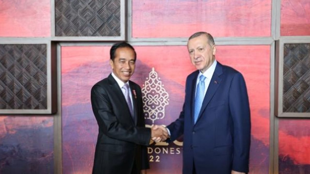 Erdoğan, Endonezya Devlet Başkanı ile görüştü