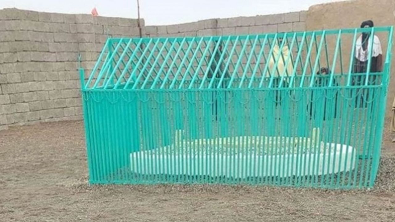 Molla Ömer'in mezar yeri açıklandı