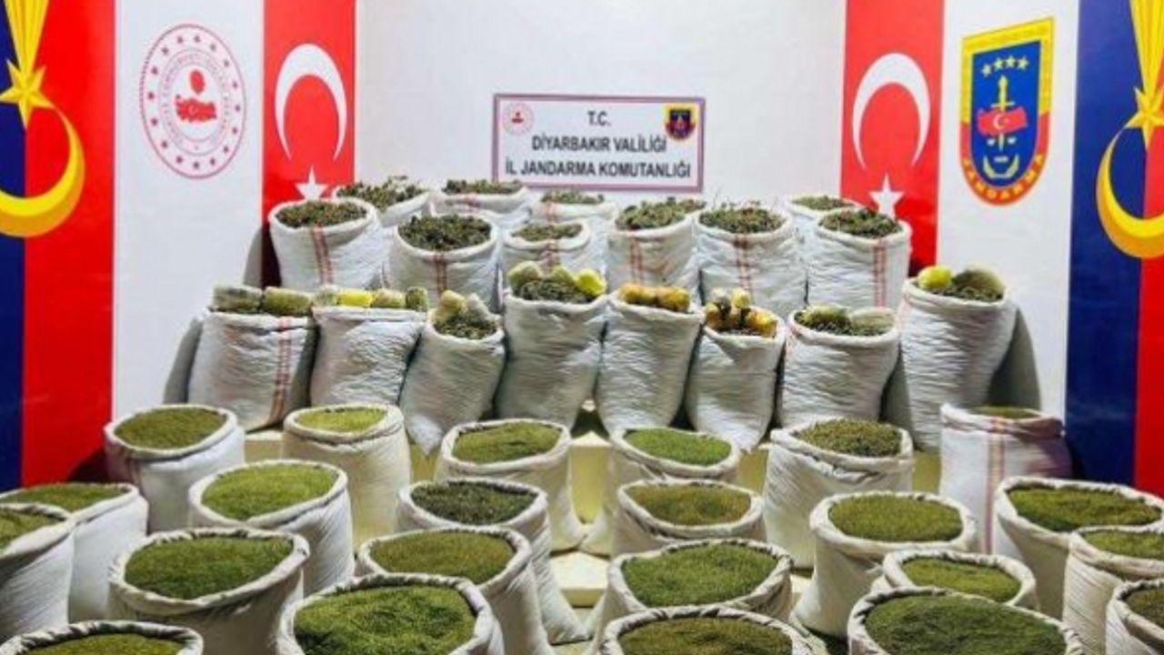 Terör örgütüne ait uyuşturucu ele geçirildi