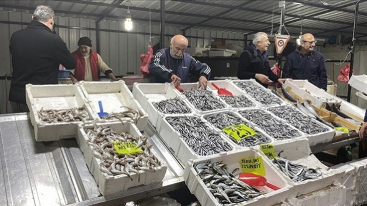Zonguldak'ta sağanak ve fırtına nedeniyle balık fiyatları yükseldi