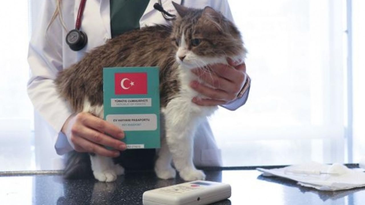 1,4 milyonu aşkın ev hayvanı kayıt altına alındı