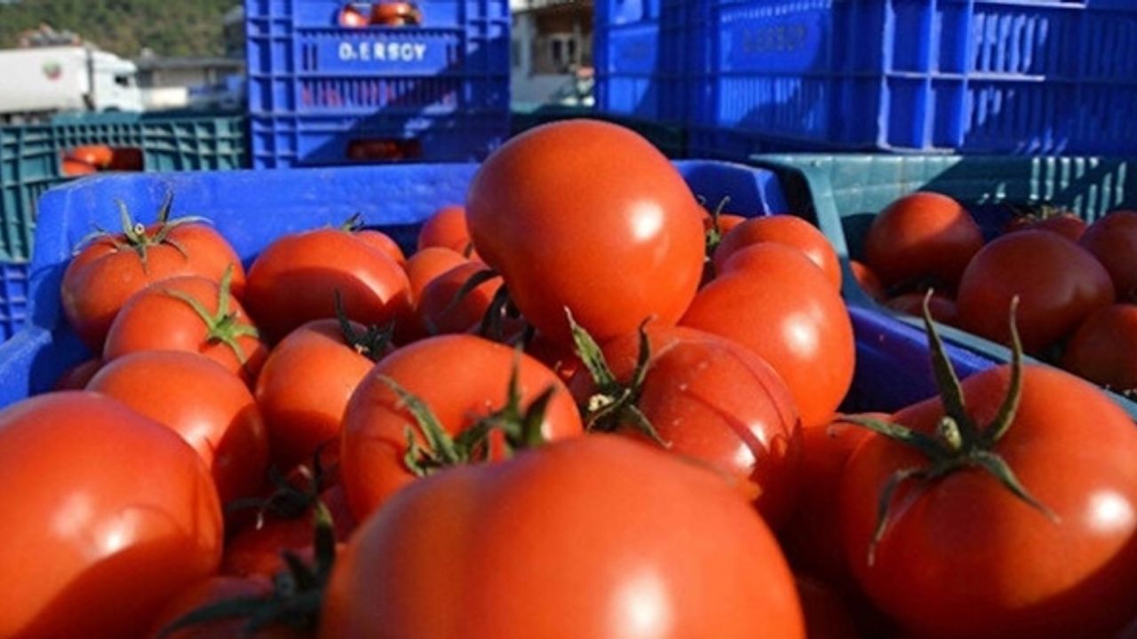 İstanbullular geçen yıl en çok hangi sebze-meyveyi tüketti?