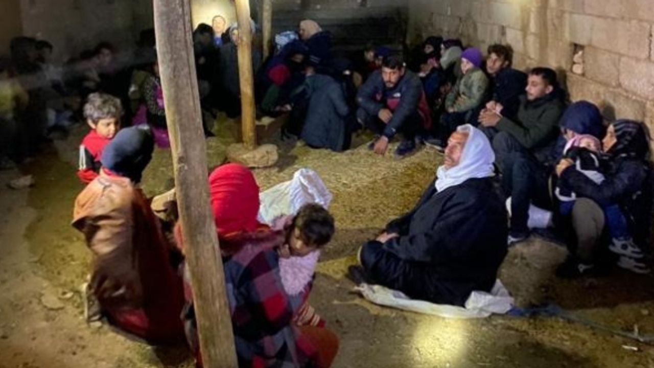 Şanlıurfa'da 101 düzensiz göçmen yakalandı