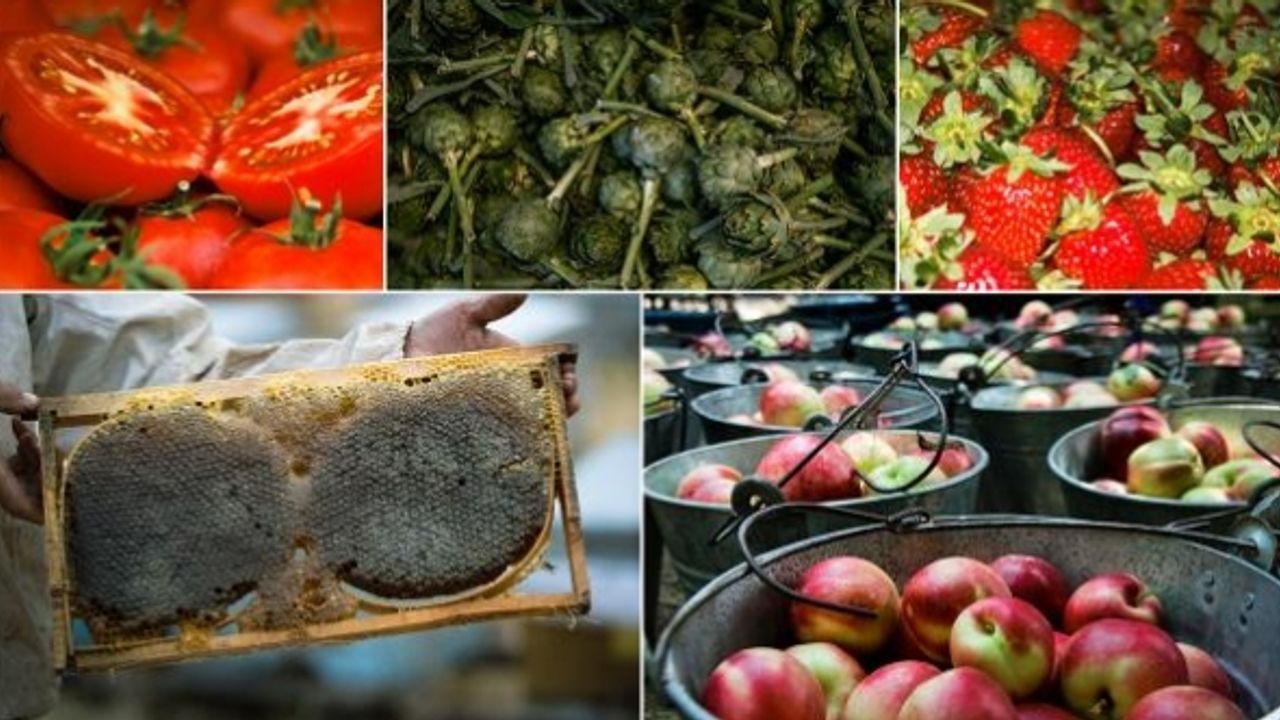 Türkiye'nin 10 lezzeti daha tescil yolunda