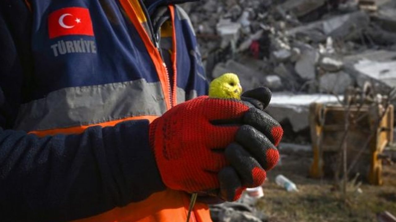 Depremin 5. gününde enkazdan 'Mucize' çıkarıldı