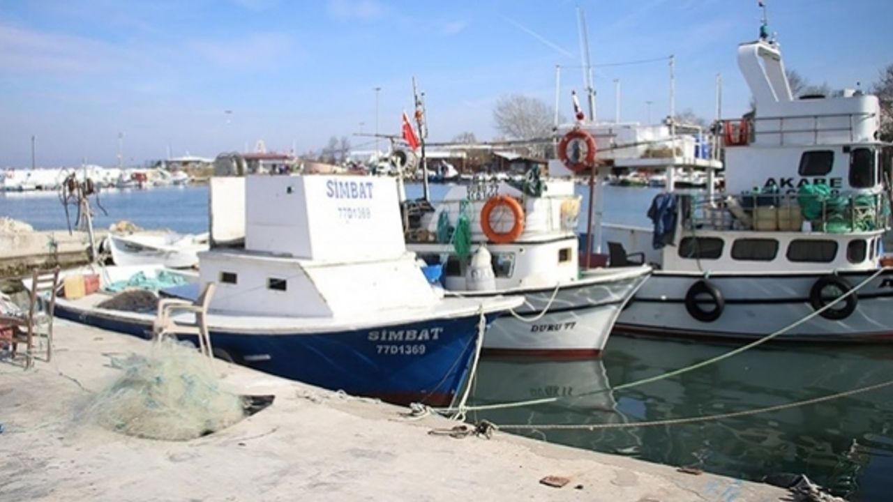 Marmara'da hamsi avcılığının durdurulması memnuniyetle karşılandı
