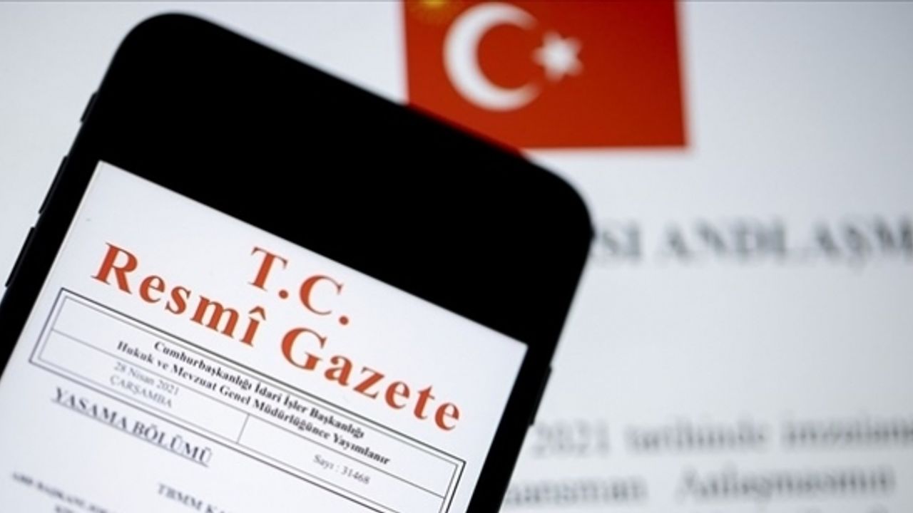 Resmi İlan ve Reklam Yönetmeliği, Resmi Gazete'de