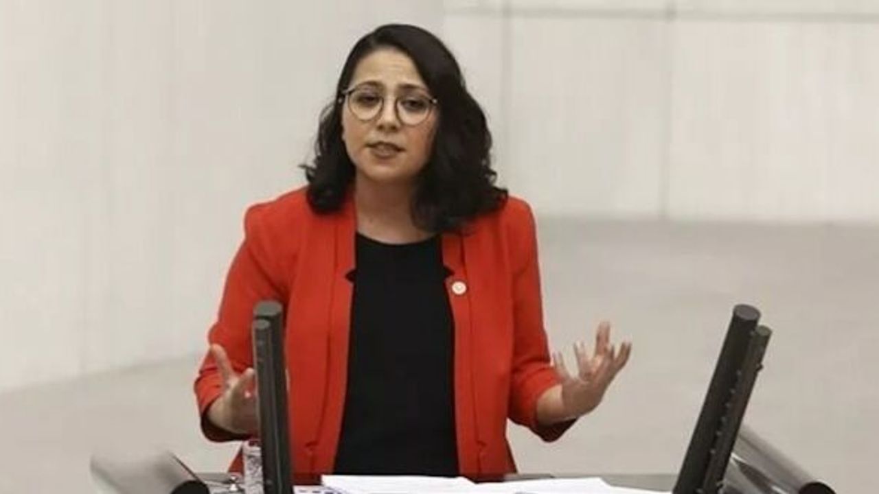 TİP'li Sera Kadıgil'in Diyanet'e yönelttiği hakaretler TELE1'i kapattırdı