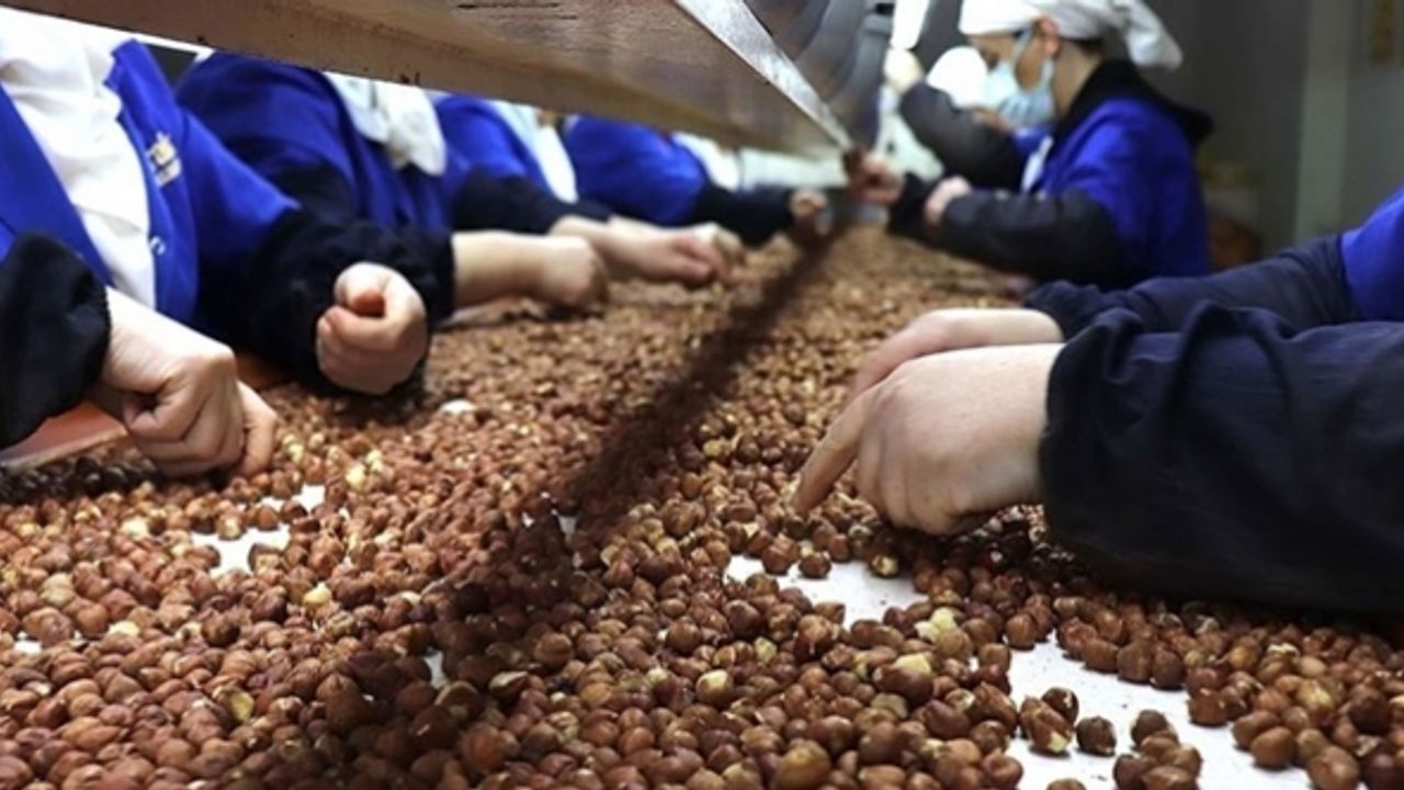 Türkiye, ihracat sezonunun ilk 5 ayında fındıktan 884 milyon dolar kazandı