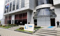 TMSF, Assan Group’u satışa çıkardı