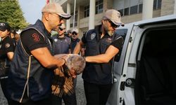 Yakalanan FETÖ üyesi suikastçi silahların yerini gösterdi