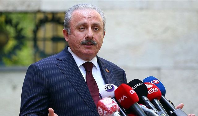 Mustafa Şentop'tan iddialara cevap