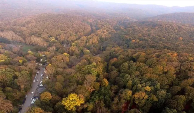 İstanbul ormanlarına giriş yasağı başladı