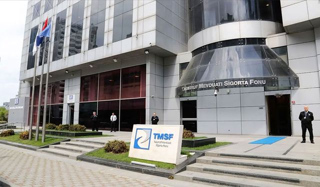 TMSF, Assan Group’u satışa çıkardı