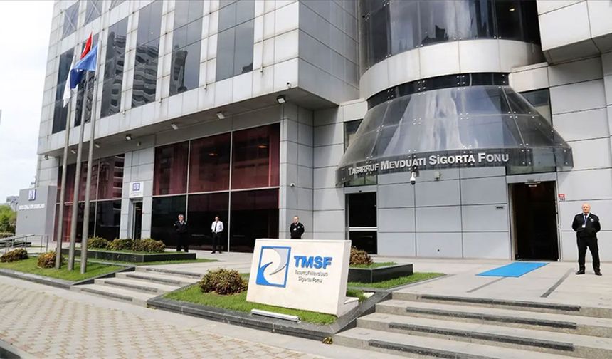 TMSF, Assan Group’u satışa çıkardı