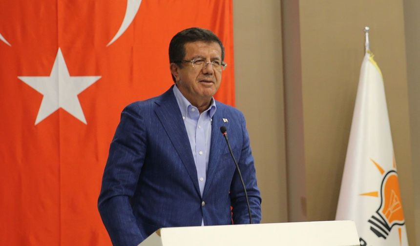 Eski Bakan Zeybekçi, fon krizinden sorumlu kurumları açıkladı