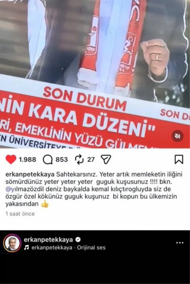 Petekkaya 44